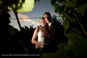 Sitella Winery - Wedding Photos